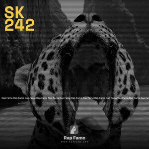 SK 242