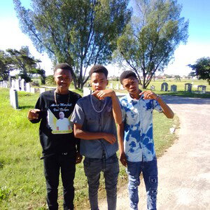 los boii 