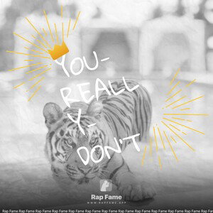 you-really-don't