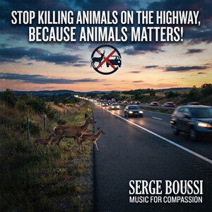 Animals Matters 