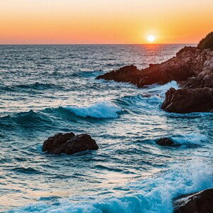 Compliments of the sea