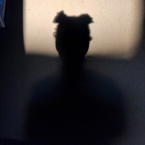 Dragoness- Back in business (freestyle)