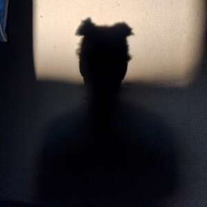 unnamed