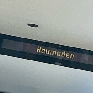 LEBEN 