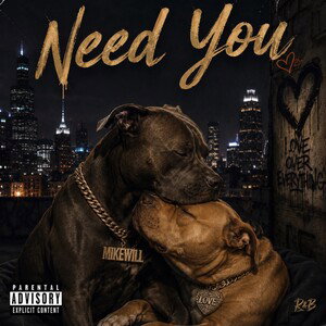 Mike Will - Need You