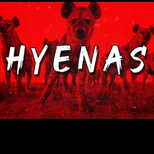 HYENASbyPROFETESABEATSMatthewJ