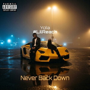 Never Back Down