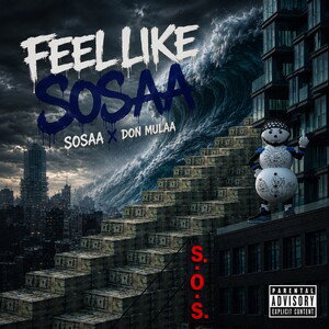 DON MULA x SOSA SPARKZ - Feel Like Sosaa 