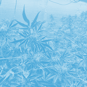 PAY ATTENTION mix2 (Nightcore)