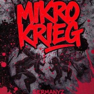 Mikro Krieg 