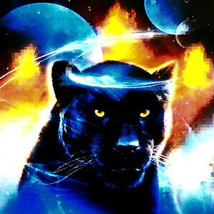 panther walkout