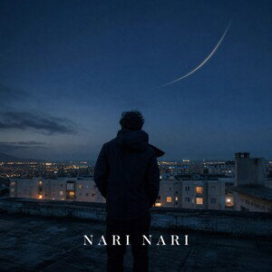 NariNari