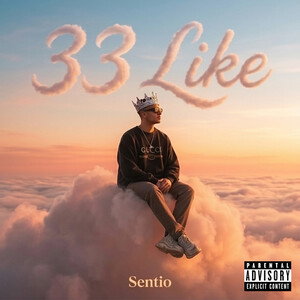 33 Like