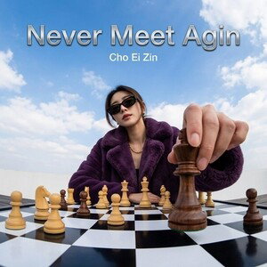 Never Meet Agin