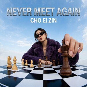 Never Meet Again 
