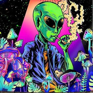 Trippy 