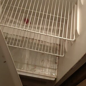 my fridge stank!!!