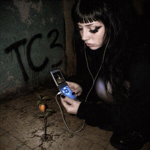 ТСЗ