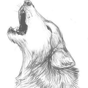 Leader of the Pack sample