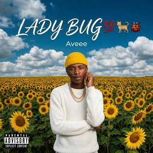 LADY BUG💯🐈‍⬛🐞