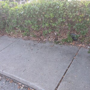 outside I thought they knew