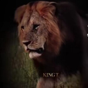 el león de casería 
