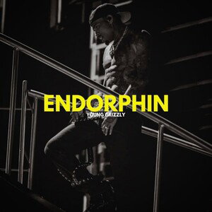 Endorphin (04:04:11)