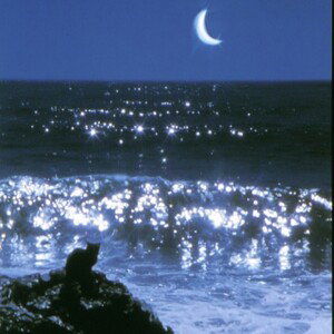 dreams aren’t made, their crafted (interlude)