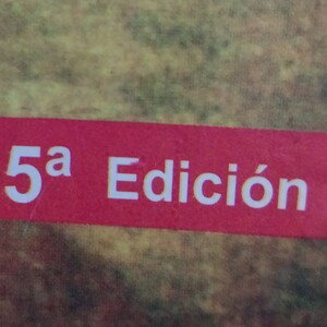 Negocios del siglo 21 