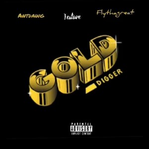 Gold Digger