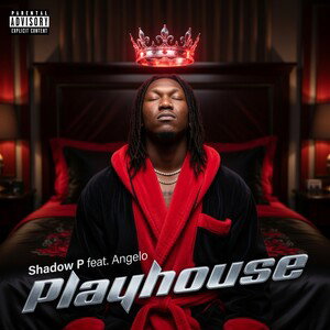 Playhouse @ShadowP56Ace