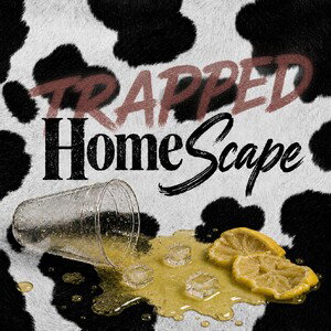 HomeScape(Trapped)
