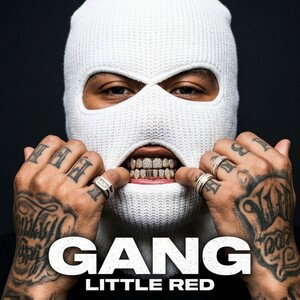 gang