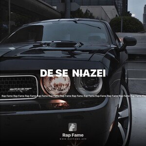 DE SE  NIAZEI