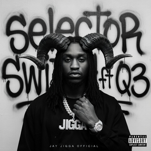 selector switch ft Q3