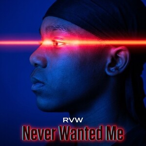 Never Wanted Me