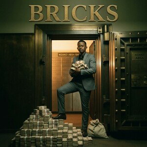 Bricks