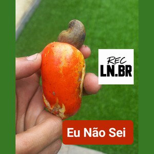 Eu Não Sei 