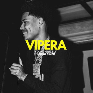 Vipera