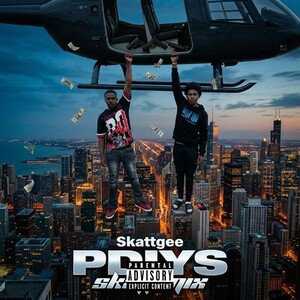 PDIYS skatt mix