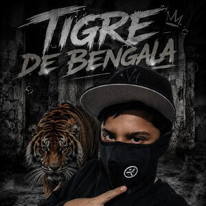 Tigre de Bengala 👺‼️🔫
