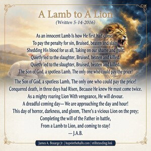 A Lamb to A Lion 