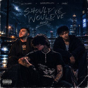 Should’ve, would’ve (Remix) Ft. LAVØN