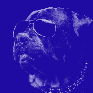 Lirt (Slowed + Reverb)