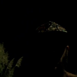 trap fingers