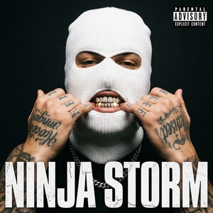 ninja storm