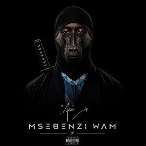 Into Zomhlaba (feat. Mr Vee Sholo)