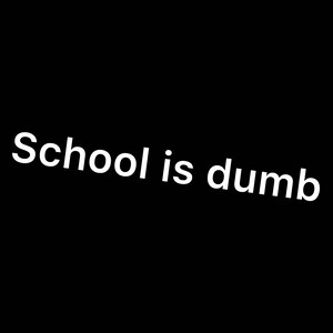 school is dumb