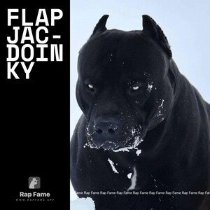 Flapjac-DOINKY