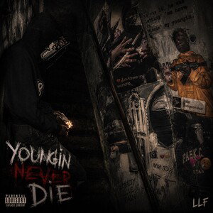 Y.N.D🐍